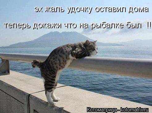эх жаль удочку оставил дома теперь докажи что на рыбалке был !!! теперь докажи что на рыбалке б... Котоматрица: эх жаль удочку оставил дома теперь докажи что на рыбалке был !!! теперь докажи что на рыбалке был !!!