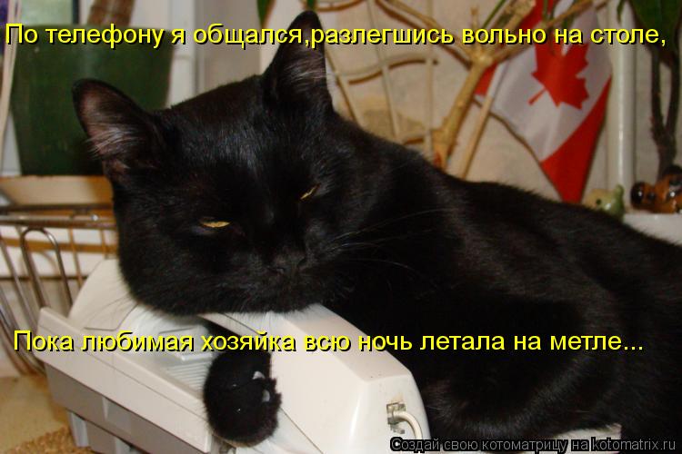 Пока любимая хозяйка всю ночь летала на метле... По телефону я общался,разлегшись вольно на столе,... Котоматрица: Пока любимая хозяйка всю ночь летала на метле... По телефону я общался,разлегшись вольно на столе,