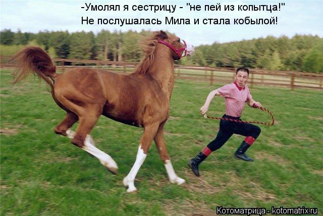Котоматрица: -Умолял я сестрицу - "не пей из копытца!" Не послушалась Мила и стала кобылой!