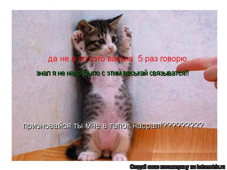 призновайся ты мне в тапок насрал!????????? да не я это это васька 5 раз говорю знал я не надо было ... Котоматрица: призновайся ты мне в тапок насрал!????????? да не я это это васька 5 раз говорю знал я не надо было с этим васькай связыватся!!