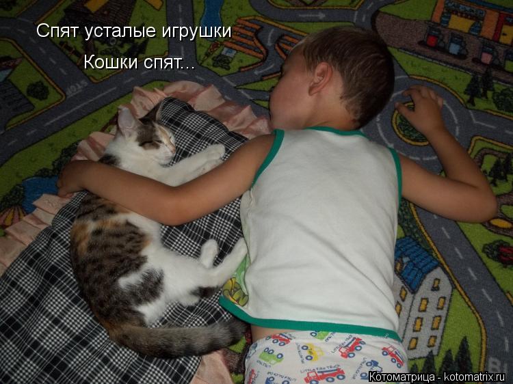 Котоматрица: Спят усталые игрушки Кошки спят...