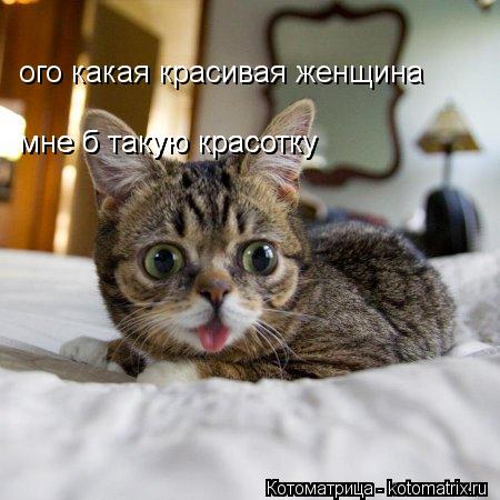 ого какая красивая женщина мне б такую красотку мне б такую красотку... Котоматрица: ого какая красивая женщина мне б такую красотку мне б такую красотку