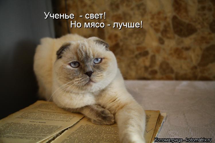Но мясо - лучше! Ученье - свет!... Котоматрица: Но мясо - лучше! Ученье - свет!