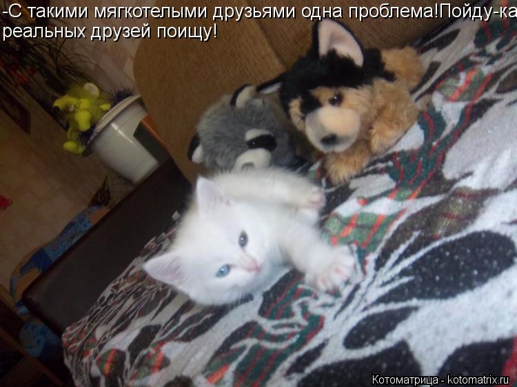Котоматрица: -С такими мягкотелыми друзьями одна проблема!Пойду-ка реальных друзей поищу!