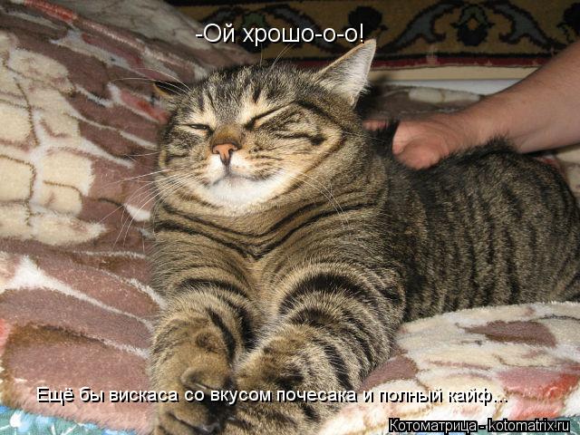 -Ой хрошо-о-о! Ещё бы вискаса со вкусом почесака и полный кайф...... Котоматрица: -Ой хрошо-о-о! Ещё бы вискаса со вкусом почесака и полный кайф...