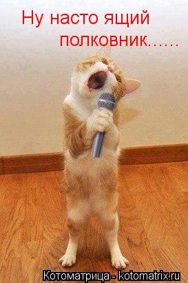 Ну насто ящий полковник......... Котоматрица: Ну насто ящий полковник......