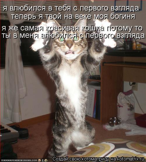 я влюбился в тебя с первого взгляда теперь я твой на веке моя богиня я же самая красивая кошка потому... Котоматрица: я влюбился в тебя с первого взгляда теперь я твой на веке моя богиня я же самая красивая кошка потому то ты в меня влюбился с первого взгляд