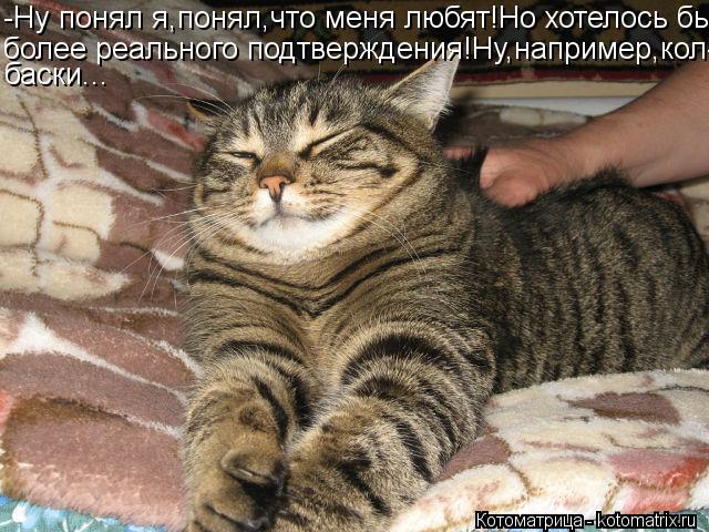 Котоматрица: -Ну понял я,понял,что меня любят!Но хотелось бы более реального подтверждения!Ну,например,кол- баски...