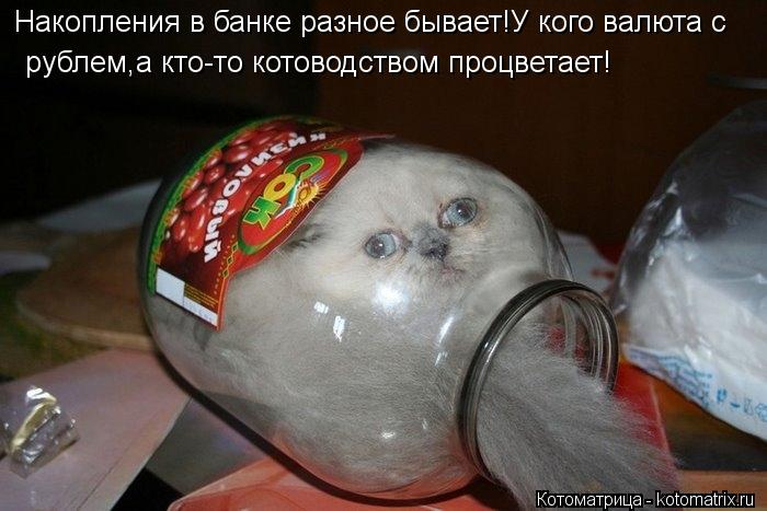 рублем,а кто-то котоводством процветает! Накопления в банке разное бывает!У кого валюта с... Котоматрица: рублем,а кто-то котоводством процветает! Накопления в банке разное бывает!У кого валюта с