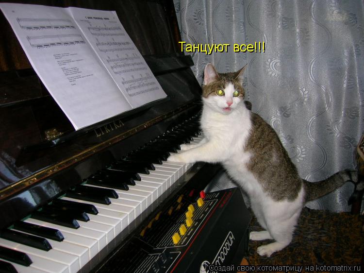 Танцуют все!!!... Котоматрица: Танцуют все!!!