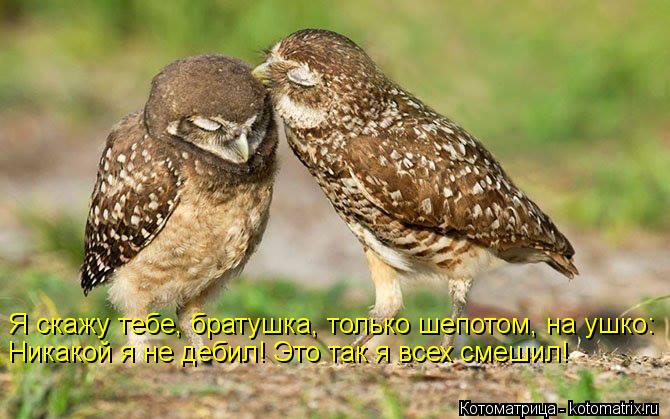 Я скажу тебе, братушка, только шепотом, на ушко: Никакой я не дебил! Это так я всех смешил!... Котоматрица: Я скажу тебе, братушка, только шепотом, на ушко: Никакой я не дебил! Это так я всех смешил!