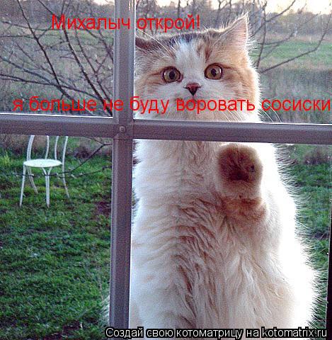 Михалыч открой! я больше не буду воровать сосиски... Котоматрица: Михалыч открой! я больше не буду воровать сосиски