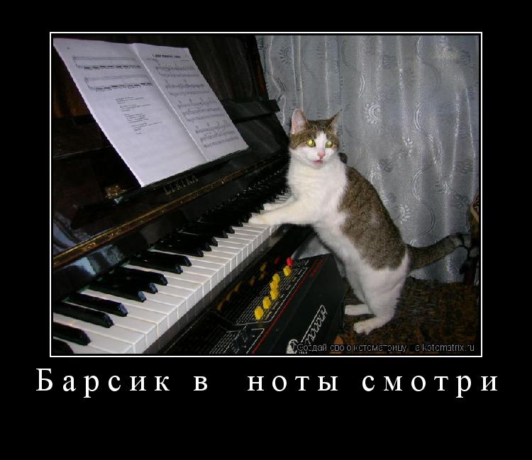 Барсик в ноты смотри ... Котоматрица: Барсик в ноты смотри