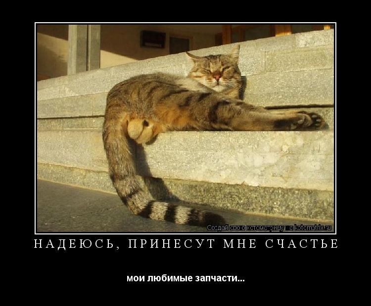 НАДЕЮСЬ, ПРИНЕСУТ МНЕ СЧАСТЬЕ мои любимые запчасти...... Котоматрица: НАДЕЮСЬ, ПРИНЕСУТ МНЕ СЧАСТЬЕ мои любимые запчасти...