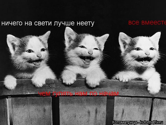 ничего на свети лучше неету чем гулять нам по начам все вмеесте... Котоматрица: ничего на свети лучше неету чем гулять нам по начам все вмеесте