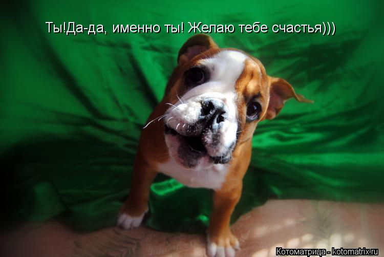 Ты!Да-да, именно ты! Желаю тебе счастья)))... Котоматрица: Ты!Да-да, именно ты! Желаю тебе счастья)))