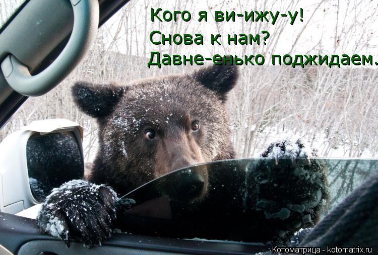Кого я ви-ижу-у! Снова к нам? Давне-енько поджидаем.... Котоматрица: Кого я ви-ижу-у! Снова к нам? Давне-енько поджидаем.