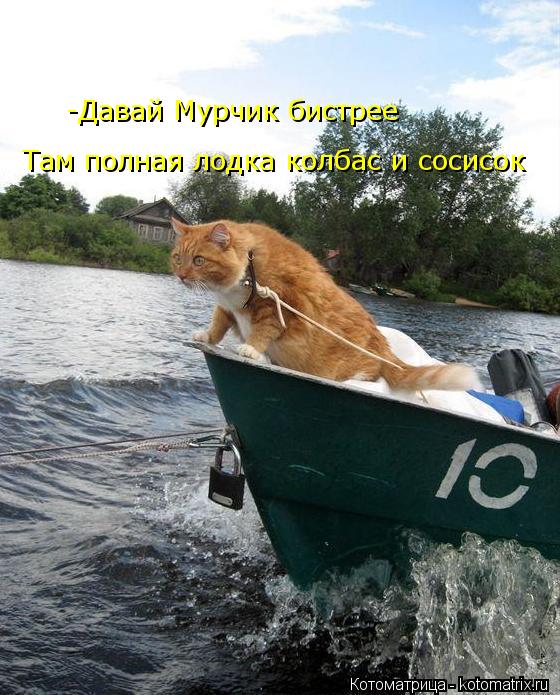 Там полная лодка колбас и сосисок -Давай Мурчик бистрее... Котоматрица: Там полная лодка колбас и сосисок -Давай Мурчик бистрее