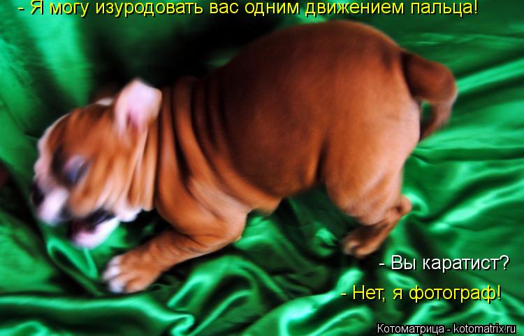 Котоматрица: - Я могу изуродовать вас одним движением пальца! - Нет, я фотограф! - Вы каратист?