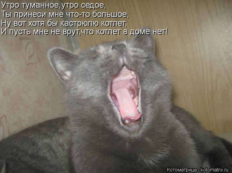 Утро туманное,утро седое, Ты принеси мне что-то большое, Ну вот хотя бы кастрюлю котлет, И пусть мне ... Котоматрица: Утро туманное,утро седое, Ты принеси мне что-то большое, Ну вот хотя бы кастрюлю котлет, И пусть мне не врут,что котлет в доме нет!