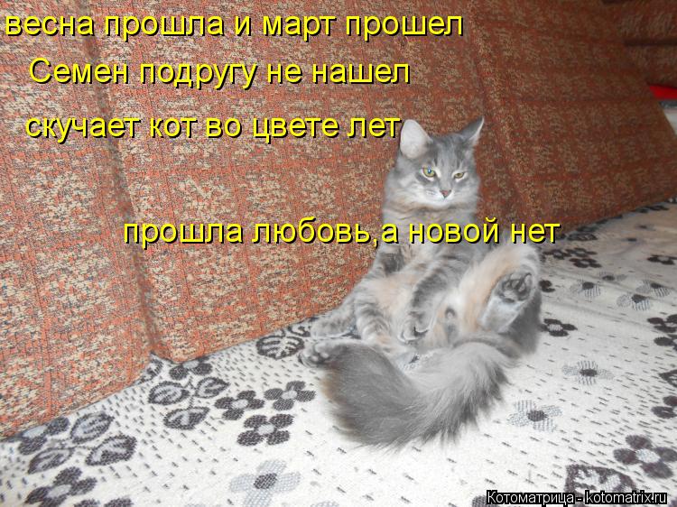 весна прошла и март прошел Семен подругу не нашел скучает кот во цвете лет прошла любовь,а новой нет... Котоматрица: весна прошла и март прошел Семен подругу не нашел скучает кот во цвете лет прошла любовь,а новой нет
