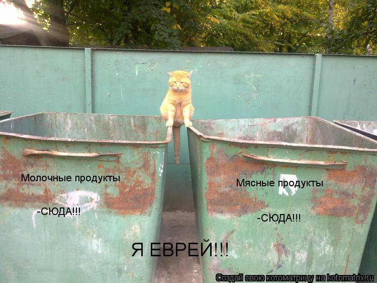 Молочные продукты -СЮДА!!! -СЮДА!!! Мясные продукты Я ЕВРЕЙ!!!... Котоматрица: Молочные продукты -СЮДА!!! -СЮДА!!! Мясные продукты Я ЕВРЕЙ!!!