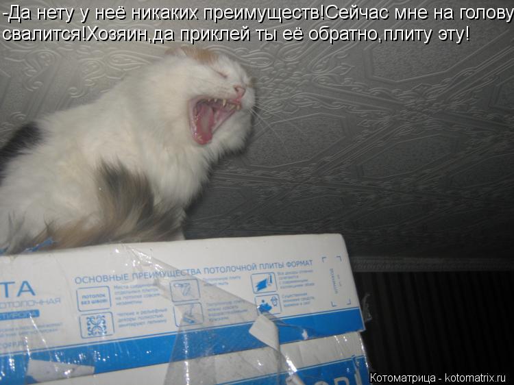 -Да нету у неё никаких преимуществ!Сейчас мне на голову свалится!Хозяин,да приклей ты её обратно,пли... Котоматрица: -Да нету у неё никаких преимуществ!Сейчас мне на голову свалится!Хозяин,да приклей ты её обратно,плиту эту!