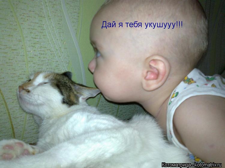Дай я тебя укушууу!!!... Котоматрица: Дай я тебя укушууу!!!