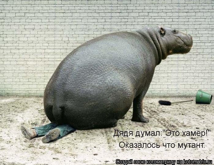 Котоматрица: Дядя думал:"Это хамер!" Оказалось что мутант.