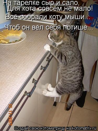 http://kotomatrix.ru/images/lolz/2013/05/20/kotomatritsa_Ns.jpg