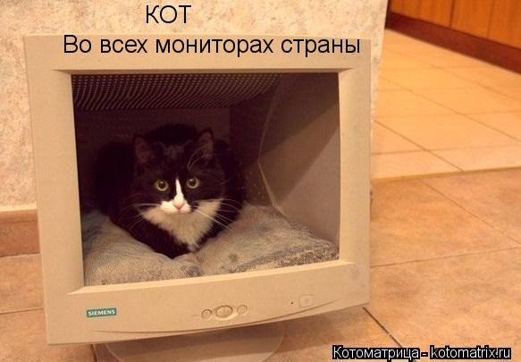 КОТ Во всех мониторах страны... Котоматрица: КОТ Во всех мониторах страны