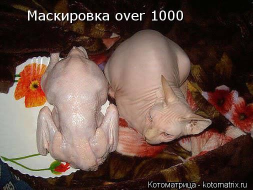Маскировка over 1000... Котоматрица: Маскировка over 1000