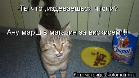 -Ты что ,издеваешься чтоли? Ану марш в магазин за вискисем!!!... Котоматрица: -Ты что ,издеваешься чтоли? Ану марш в магазин за вискисем!!!