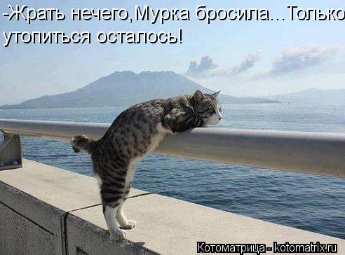 -Жрать нечего,Мурка бросила...Только утопиться осталось!... Котоматрица: -Жрать нечего,Мурка бросила...Только утопиться осталось!