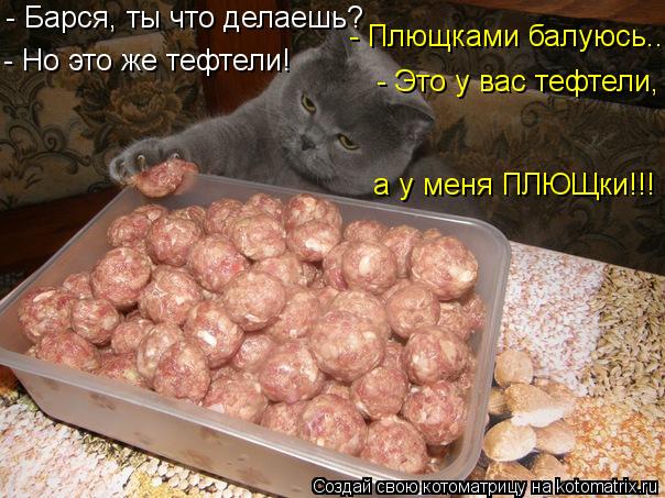 а у меня ПЛЮЩки!!! - Барся, ты что делаешь? - Но это же тефтели! - Это у вас тефтели, - Плющками балу... Котоматрица: а у меня ПЛЮЩки!!! - Барся, ты что делаешь? - Но это же тефтели! - Это у вас тефтели, - Плющками балуюсь..