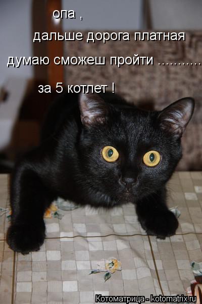 дальше дорога платная опа , за 5 котлет ! думаю сможеш пройти .................................... Котоматрица: дальше дорога платная опа , за 5 котлет ! думаю сможеш пройти .................................
