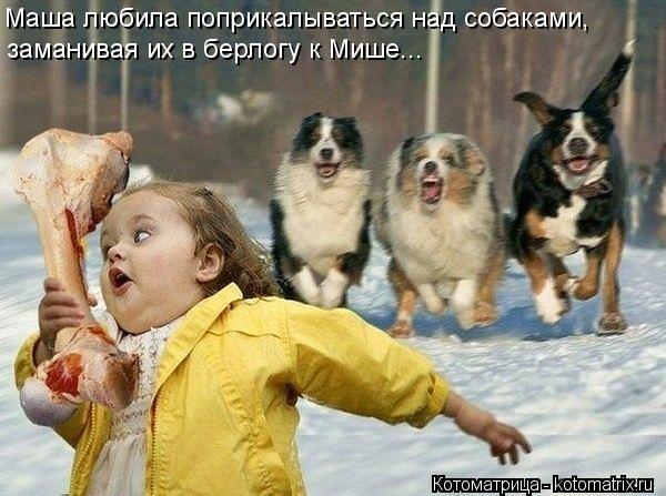 Маша любила поприкалываться над собаками, заманивая их в берлогу к Мише...... Котоматрица: Маша любила поприкалываться над собаками, заманивая их в берлогу к Мише...