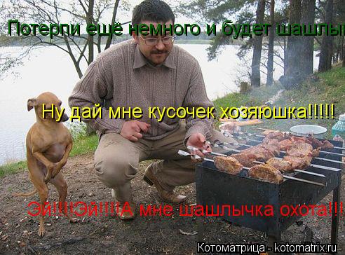 Эй!!!!Эй!!!!А мне шашлычка охота!!!! Эй!!!!Эй!!!!А мне шашлычка охота!!!! Потерпи ещё немного и будет... Котоматрица: Эй!!!!Эй!!!!А мне шашлычка охота!!!! Эй!!!!Эй!!!!А мне шашлычка охота!!!! Потерпи ещё немного и будет шашлык!!! Ну дай мне кусочек хозяюшка!!!!!