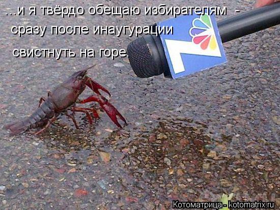 ...и я твёрдо обещаю избирателям - сразу после инаугурации свистнуть на горе.... Котоматрица: ...и я твёрдо обещаю избирателям - сразу после инаугурации свистнуть на горе.