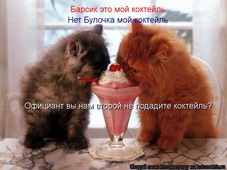 Барсик это мой коктейль Нет Булочка мой коктейль Официант вы нам второй не подадите коктейль?... Котоматрица: Барсик это мой коктейль Нет Булочка мой коктейль Официант вы нам второй не подадите коктейль?