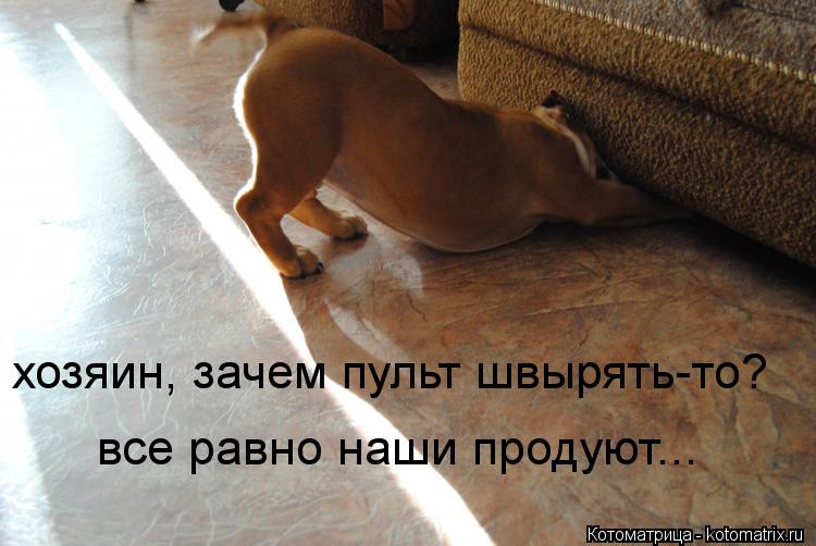 хозяин, зачем пульт швырять-то? все равно наши продуют...... Котоматрица: хозяин, зачем пульт швырять-то? все равно наши продуют...