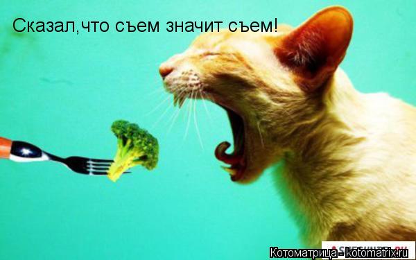 Сказал,что съем значит съем!... Котоматрица: Сказал,что съем значит съем!