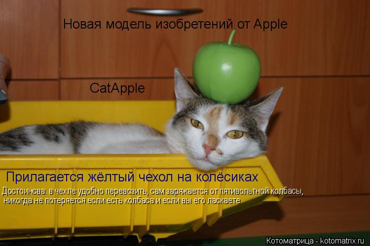 Котоматрица: Новая модель изобретений от Apple CatApple  Прилагается жёлтый чехол на колёсиках Достоинсва: в чехле удобно перевозить, сам заряжается от пятиво