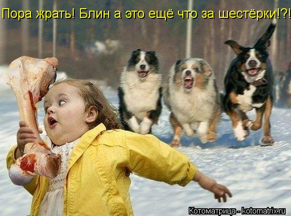 Котоматрица: Пора жрать! Блин а это ещё что за шестёрки!?!