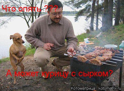 Котоматрица: Что опять ??? А может курицу с сырком?
