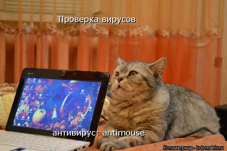 Проверка вирусов антивирус: antimouse... Котоматрица: Проверка вирусов антивирус: antimouse