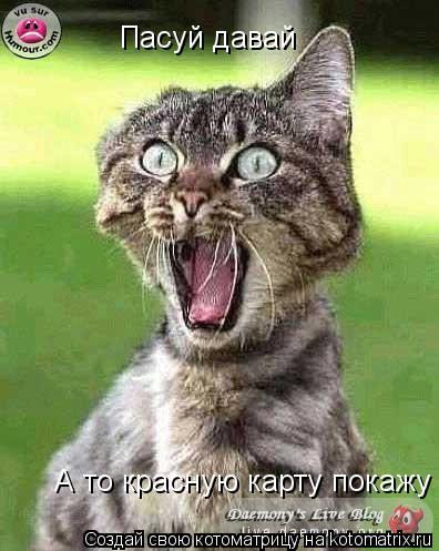 Пасуй давай А то красную карту покажу... Котоматрица: Пасуй давай А то красную карту покажу