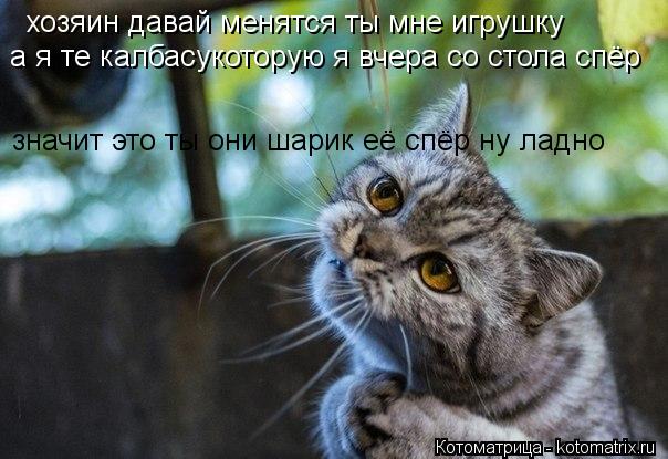 хозяин давай менятся ты мне игрушку а я те калбасукоторую я вчера со стола спёр значит это ты они ша... Котоматрица: хозяин давай менятся ты мне игрушку а я те калбасукоторую я вчера со стола спёр значит это ты они шарик её спёр ну ладно
