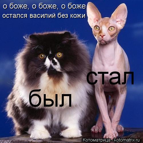 о боже, о боже, о боже остался василий без кожи был стал... Котоматрица: о боже, о боже, о боже остался василий без кожи был стал
