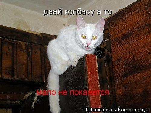 даай колбасу а то мало не покажется... Котоматрица: даай колбасу а то мало не покажется